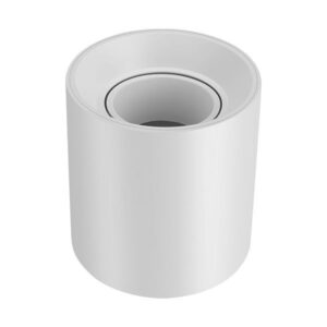 FACH1 White