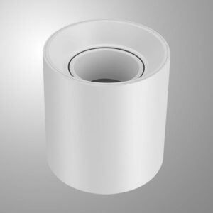 FACH1 White